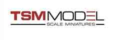 TSM Model